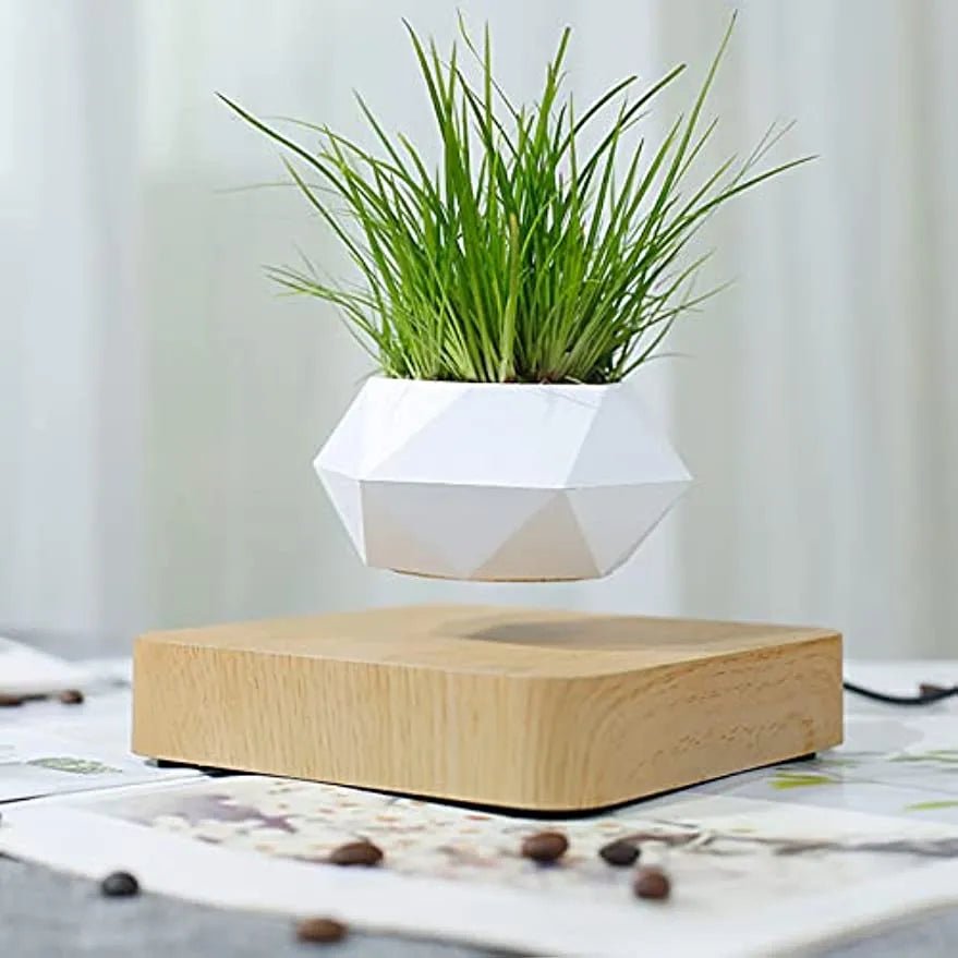 Levitating Magnetic Plant Pot