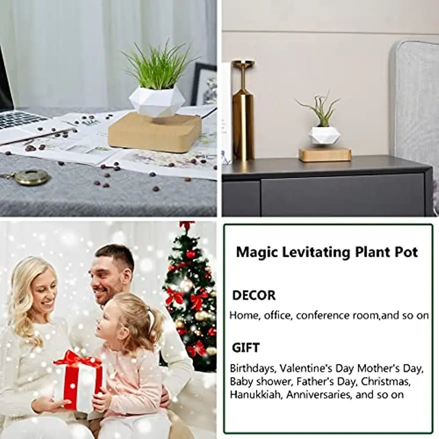 Floating Levitating Magnetic Plant Pot – Modern Air Bonsai Home Decor